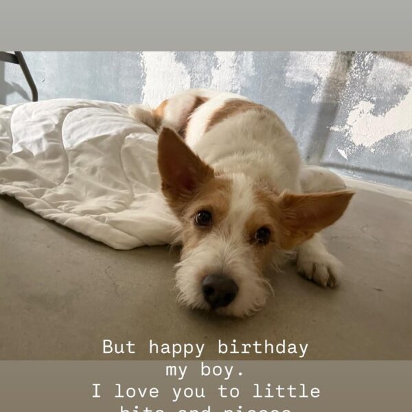 260505 ROSÉ IG Story Update w/ HANK