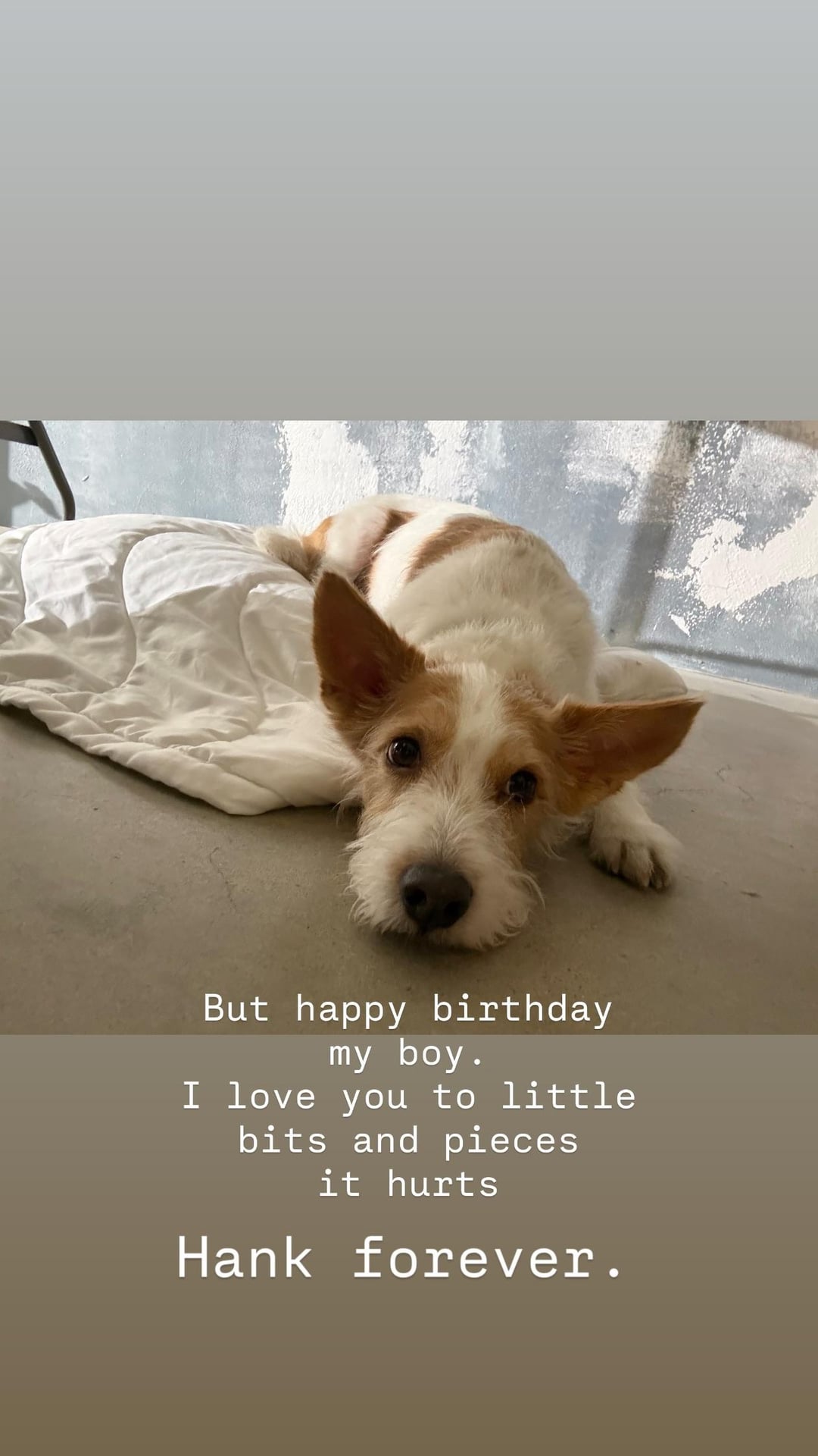260505 ROSÉ IG Story Update w/ HANK