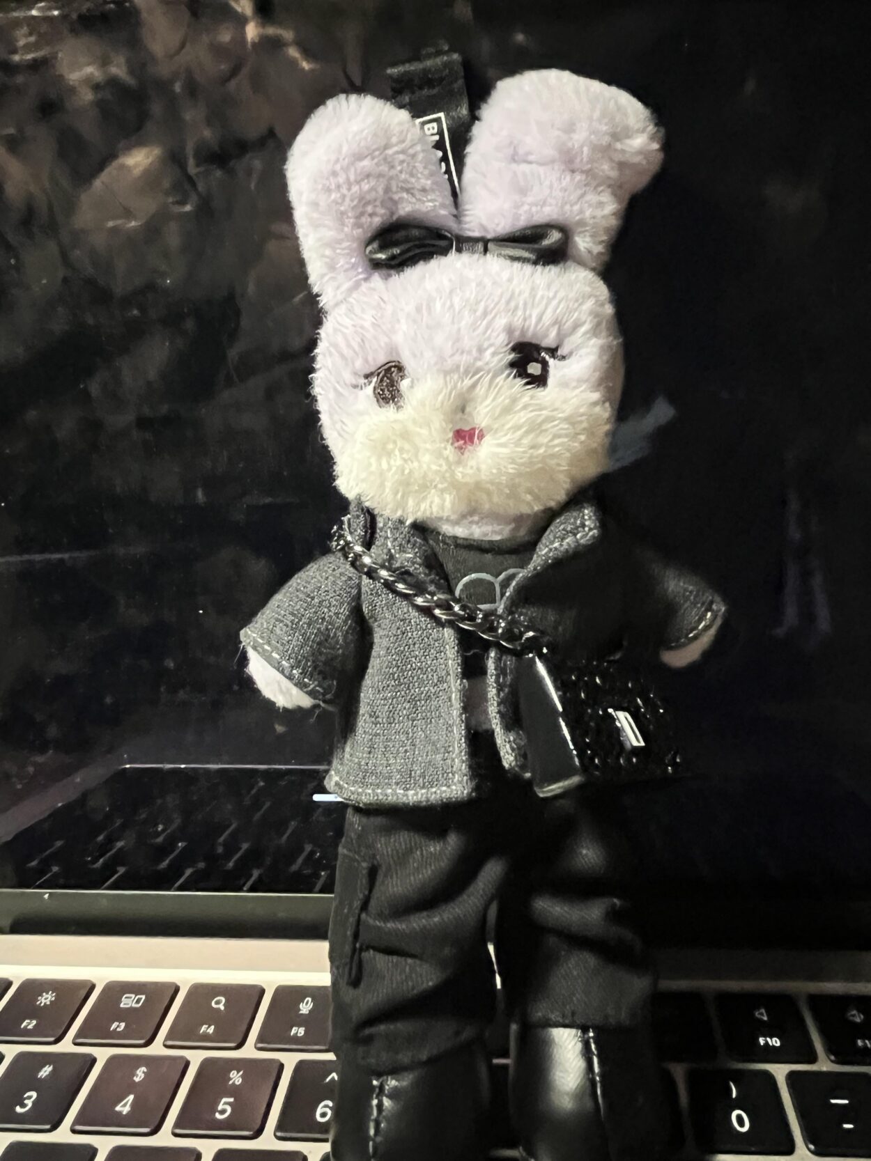 260518 Has anyone gotten the tall plushies yet?