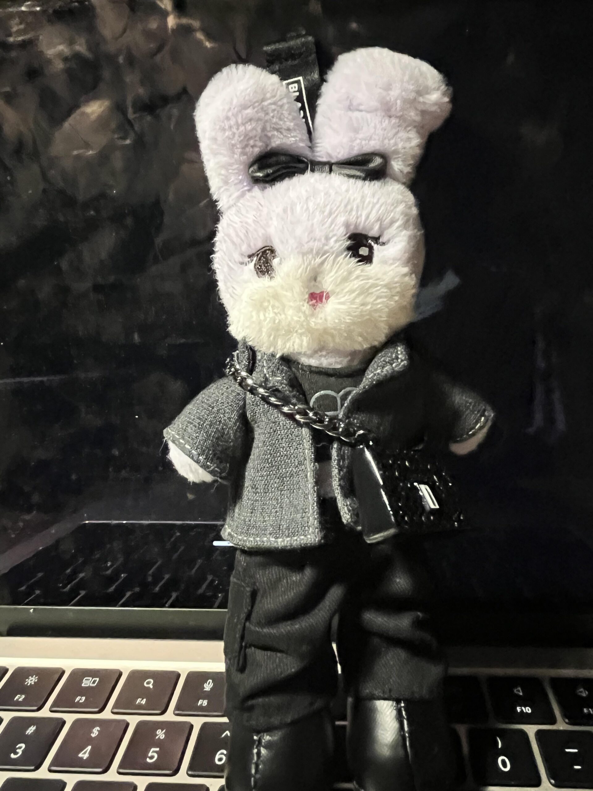 260518 Has anyone gotten the tall plushies yet?
